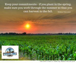 Keep your commitments - if you plant in the spring, make sure you work through the summer so that you can harvest in the fall   